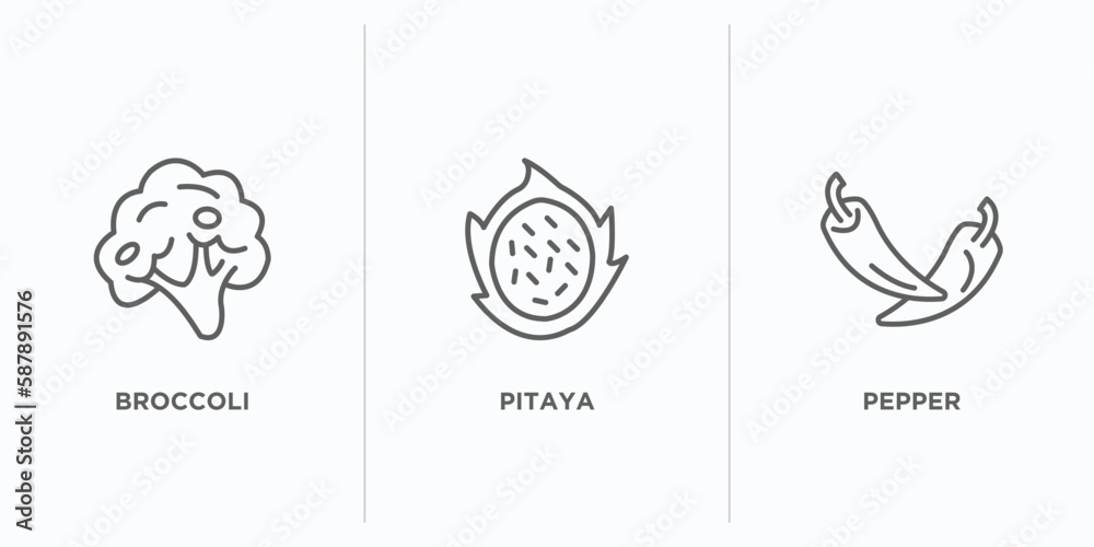 fruits and vegetables outline icons set. thin line icons such as broccoli, pitaya, pepper vector. linear icon sheet can be used web and mobile