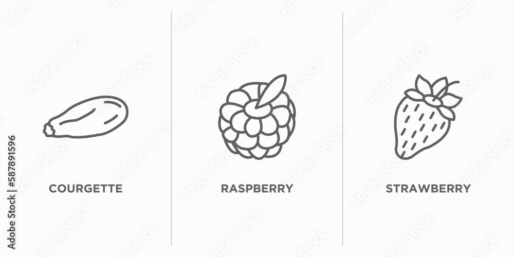 fruits and vegetables outline icons set. thin line icons such as courgette, raspberry, strawberry vector. linear icon sheet can be used web and mobile