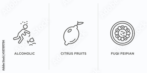 food outline icons set. thin line icons such as alcoholic, citrus fruits, fuqi feipian vector. linear icon sheet can be used web and mobile