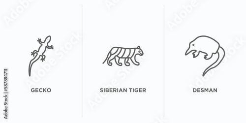 animals outline icons set. thin line icons such as gecko, siberian tiger, desman vector. linear icon sheet can be used web and mobile photo