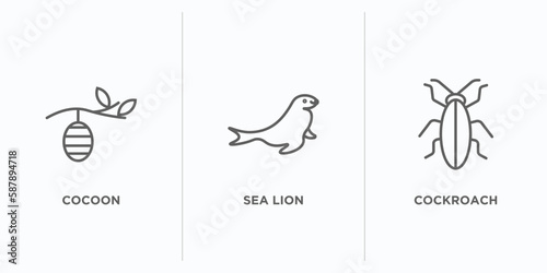 animals outline icons set. thin line icons such as cocoon, sea lion, cockroach vector. linear icon sheet can be used web and mobile