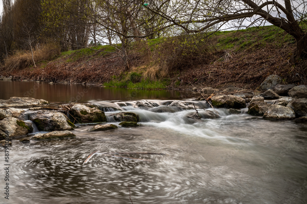 kleiner Wasserfall und Baum am Ufer des Schwechatbach kleiner Wasserfall und Baum am Ufer des Schwechatbach