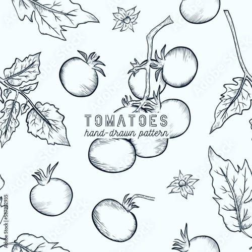 Tomatoes seamless pattern. hand drawn sketch illustration.
