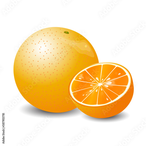 vector orange fruit 