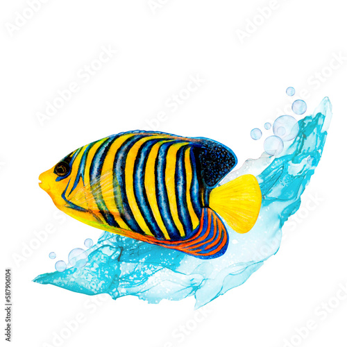 Watercolor drawing of royal angel fish and blue wave on white background. Realistically painted underwater picture for illustration, stickers, logo, poster