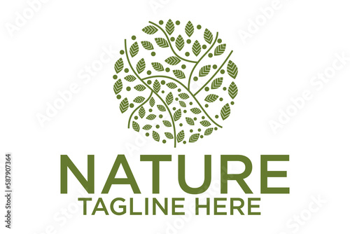 olive oil logo for modern female beauty