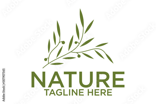 creative leaf and olive oil logo design icon