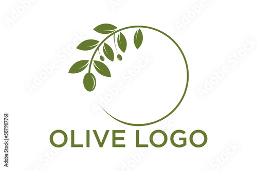 olive branch logo design