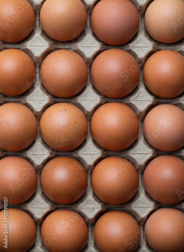 Fresh chicken eggs in a paper tray