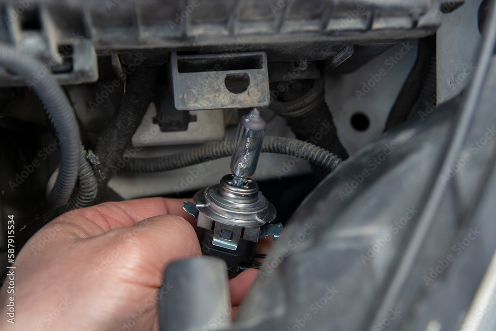 Fototapeta premium A man hold car headlights and and inserted into the headlight to replace the broken bulb in engine room : Replacing the headlight bulbs of the car itself service concept