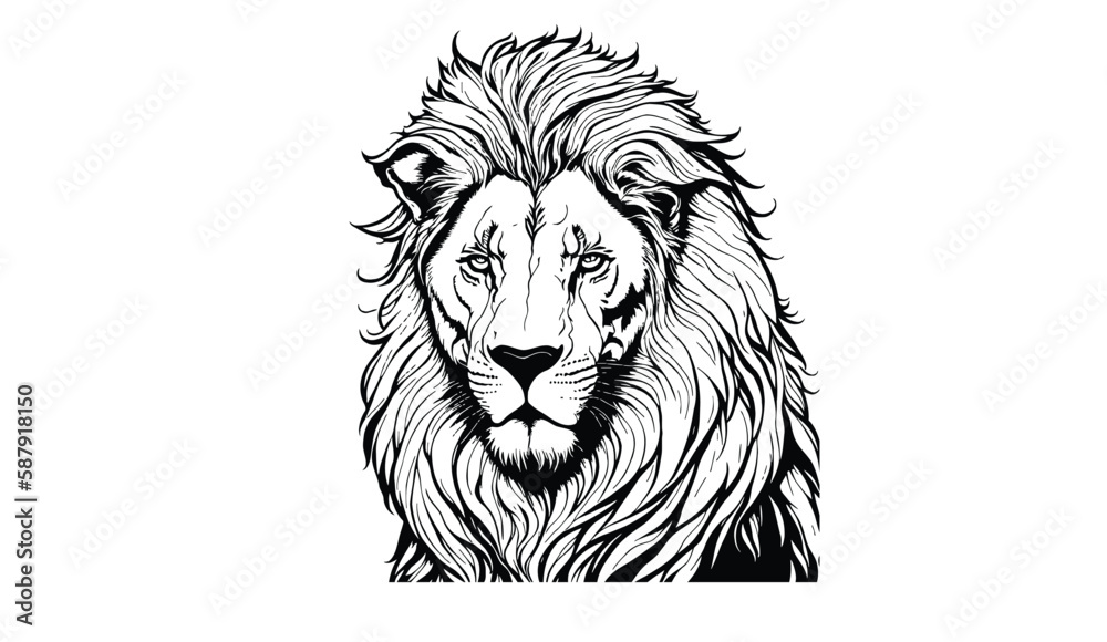 Fototapeta premium lion head illustration free vector