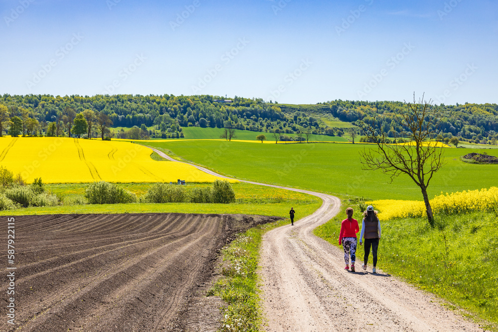 Fototapeta premium Women walking on a winding road in a rural landscape view