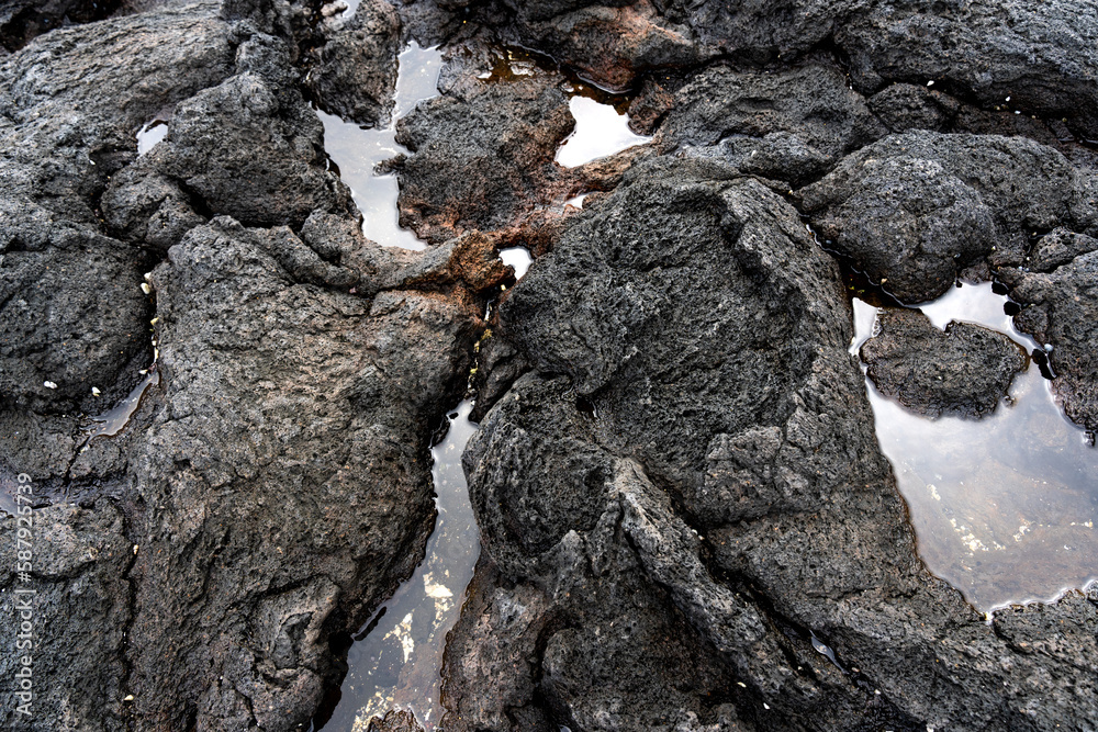 Textured Lava Rock and Ocean Tide Pools Textured Lava Rock and Ocean Tide Pools
