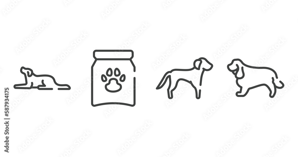 dog breeds fullbody outline icons set. thin line icons sheet included border collie, treat, springer spaniel, english cocker spaniel vector.