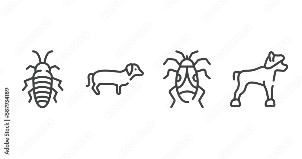 Fototapeta premium dog breeds fullbody outline icons set. thin line icons sheet included madagascan, dachshund, null, chinese crested vector.