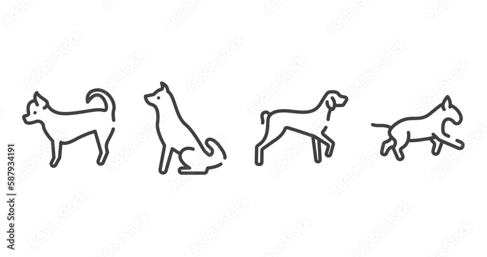 dog breeds heads outline icons set. thin line icons sheet included chihuahua, akitas, kurzhaar, bulterrier vector.