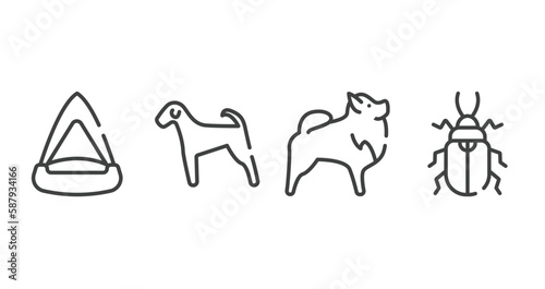 insects outline icons set. thin line icons sheet included cat playhouse, airedale, pomeranian, pollen beetle vector.