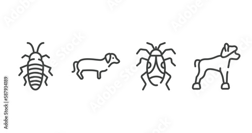 dog breeds fullbody outline icons set. thin line icons sheet included madagascan, dachshund, null, chinese crested vector.