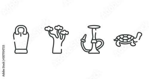 in the zoo outline icons set. thin line icons sheet included sarcophagus, baobab, hookah, tortoise vector.