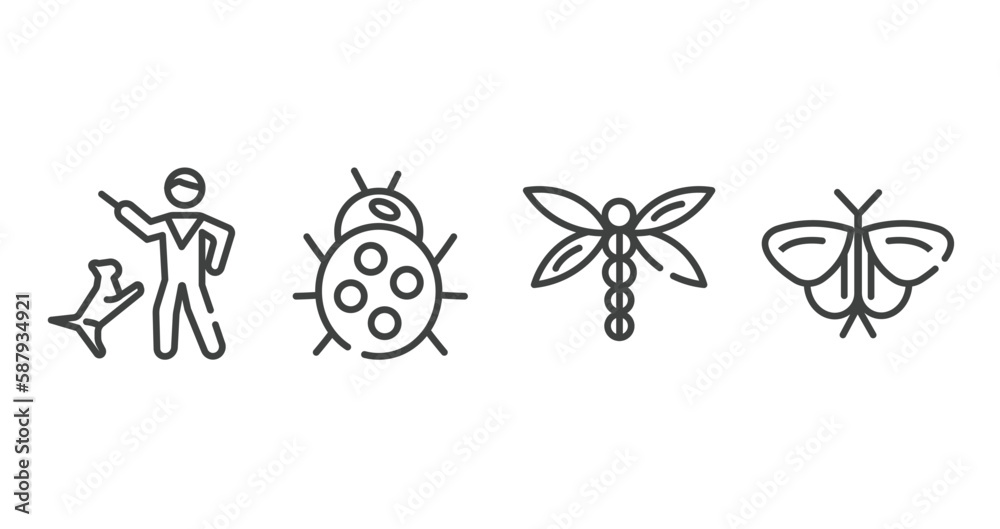 insects outline icons set. thin line icons sheet included dog training, ladybug, dragon fly, moth vector. insects outline icons set. thin line icons sheet included dog training, ladybug, dragon fly, moth vector.