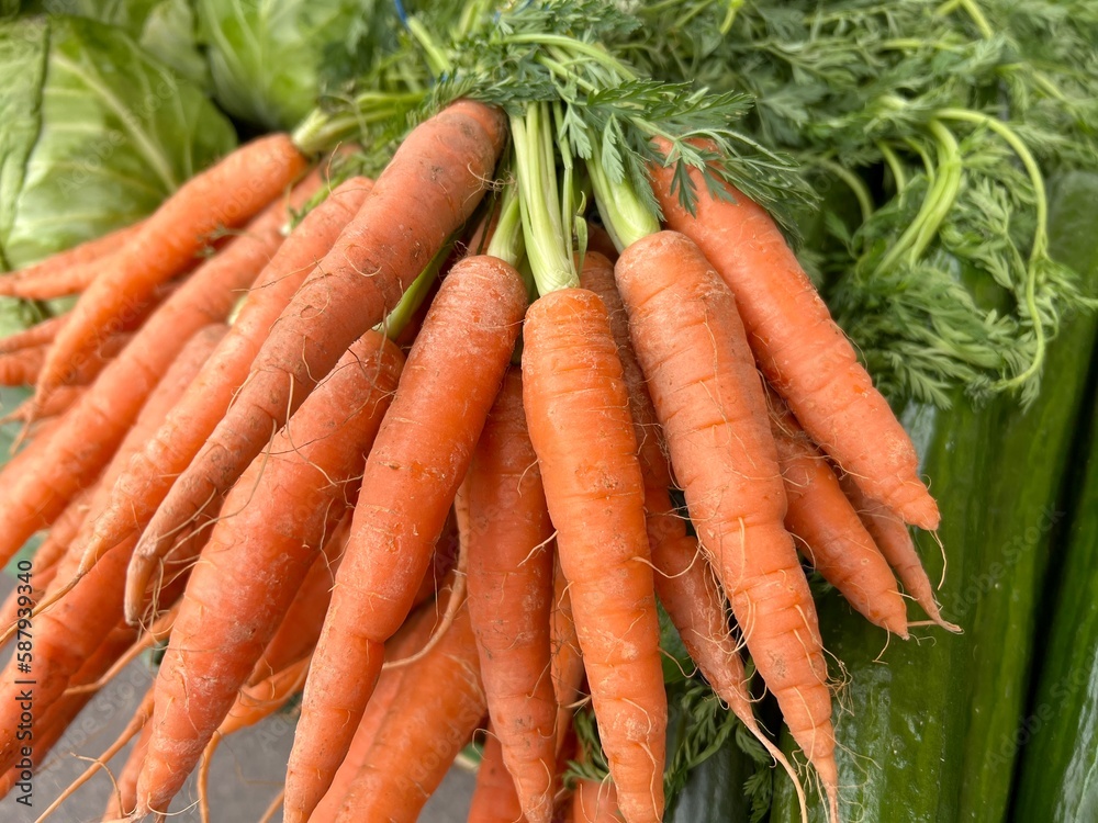 fresh bunch carrots on the market