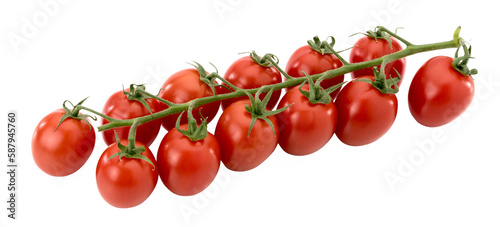 Bunch of Principe Borghese red cherry tomatoes , datterino type isolated