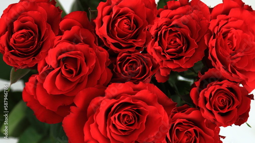 kwiaty róże koloru czerwonego w ujęciu makro 