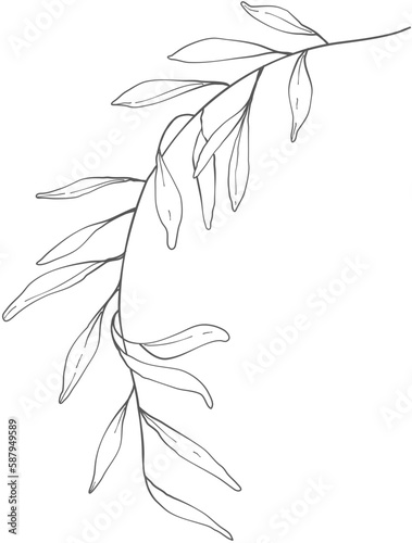 hand drawn floral elements.Floral line.