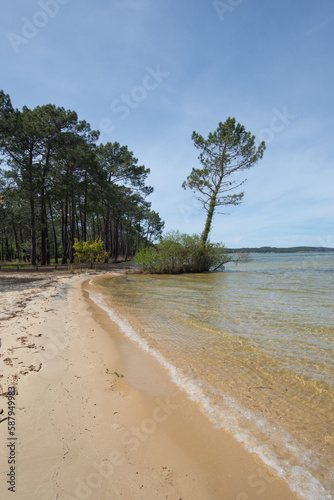 une petite plage en lisière de forêt au bord du lac photo
