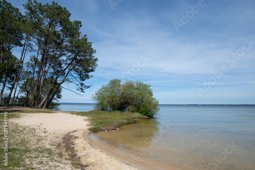 Fototapeta Naklejka Na Ścianę i Meble -  une plage sur le lac de Sanguinet