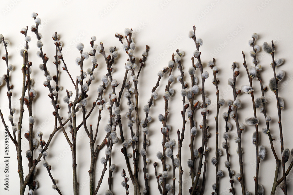 Obraz premium Beautiful willow branches with fuzzy catkins on beige background, flat lay
