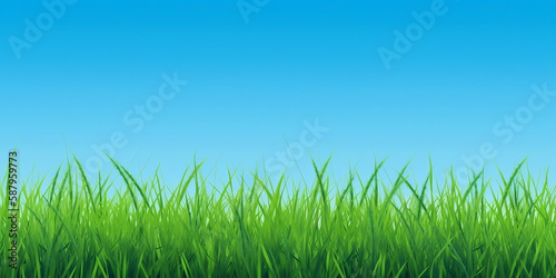 rice border or edge wide banner on clear blue sky background  banner for website generated by Ai