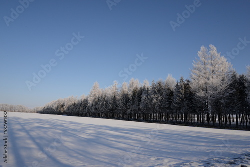 北海道の冬１ © studio9*7