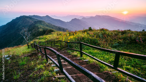 Wooden stairs with nature and twilight sunset background