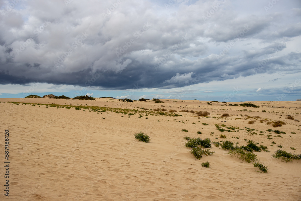 Sand dunes and cloudy sky, Fuerteventura, Spain Sand dunes and cloudy sky, Fuerteventura, Spain