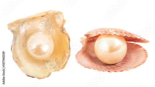 Pearl on shell on transparent background.