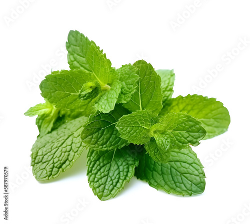 Mint leaves on white backgrounds. Come Ai generated.