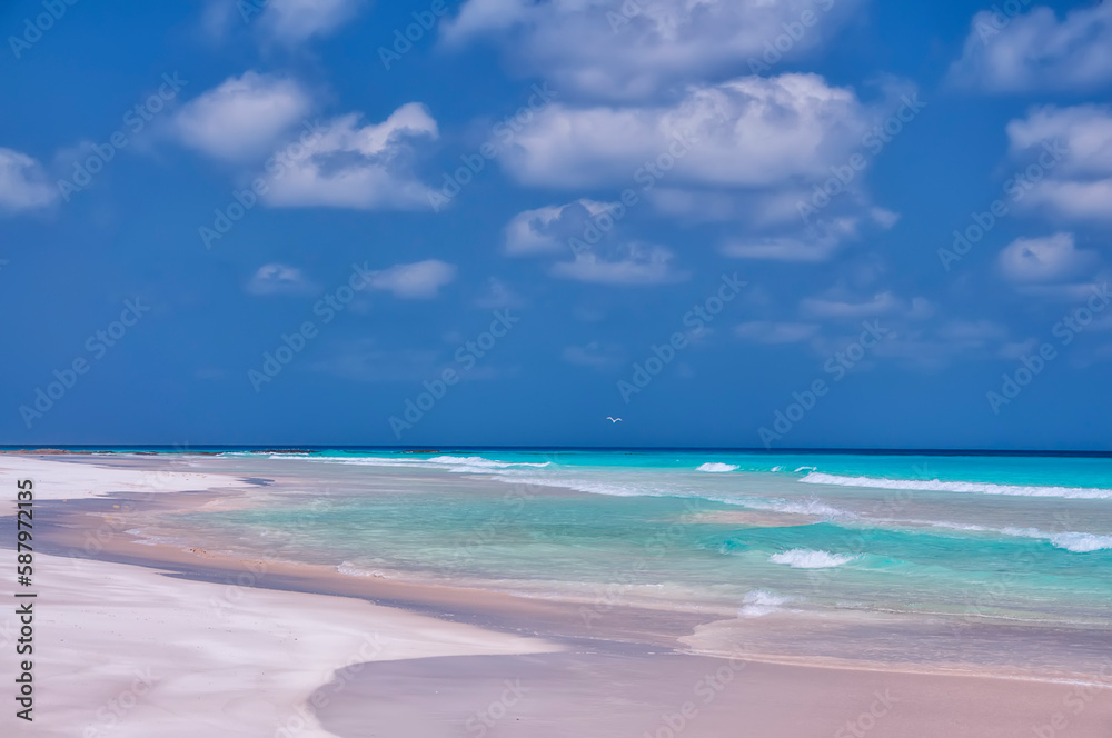 Fototapeta premium Exotic wild beach with emerald water. Island in the Indian Ocean. 