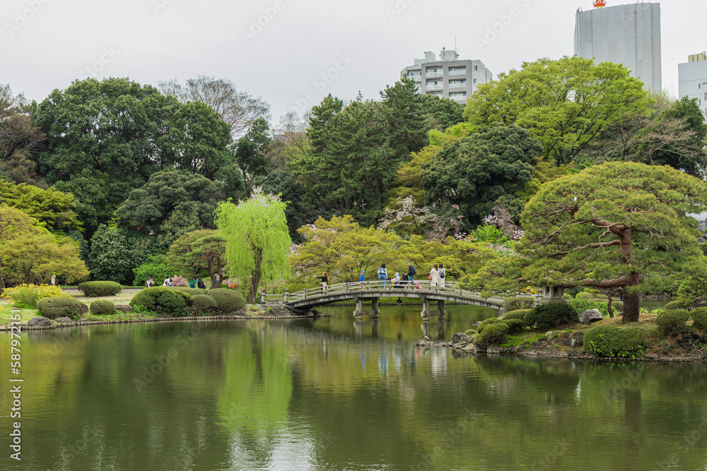 Obraz premium japanese garden in spring