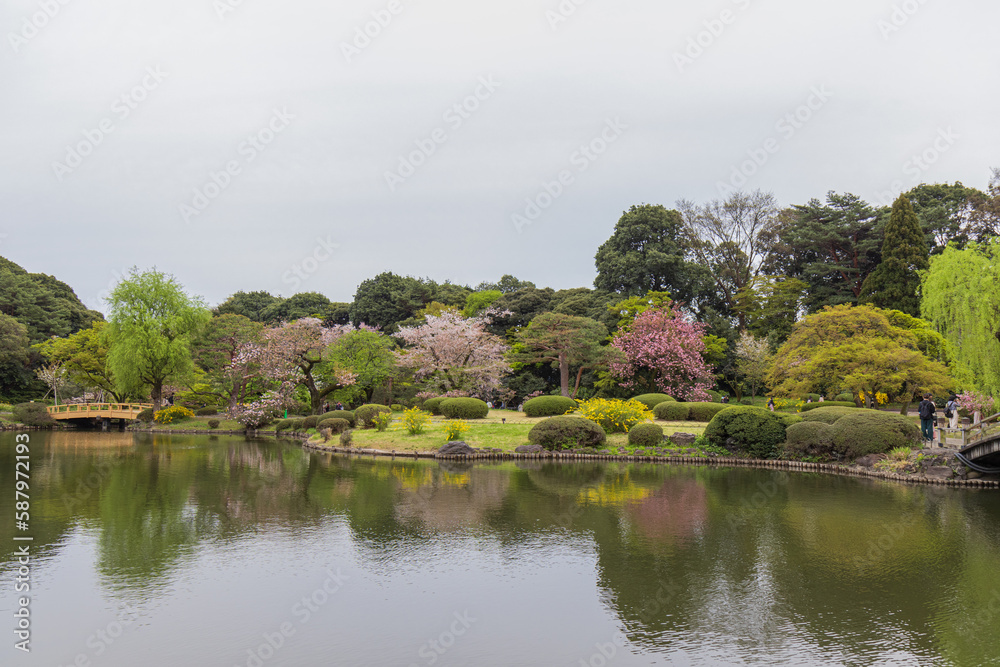 Japanese garden and pond