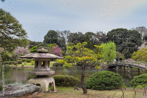 japanese garden in the spring
