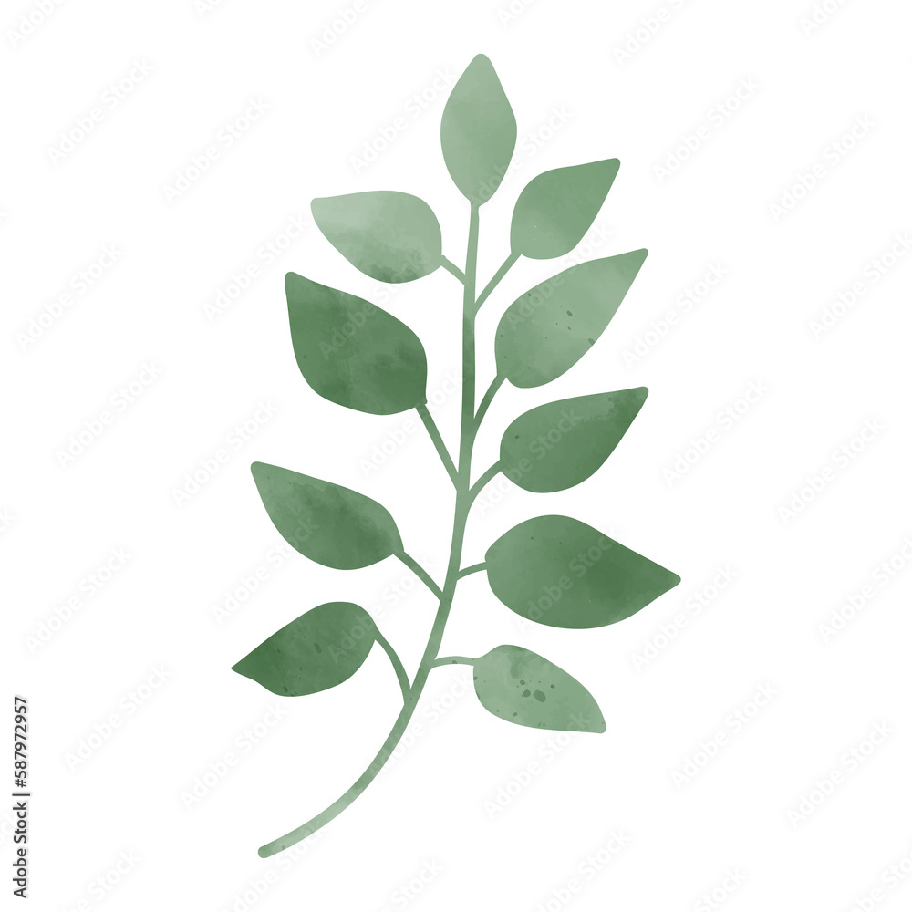 Leaves with watercolor texture. Isolated green leaf. Tropical Leaves on a transparent background