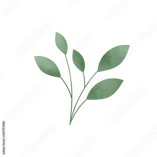 Leaves with watercolor texture. Isolated green leaf. Tropical Leaves on a transparent background