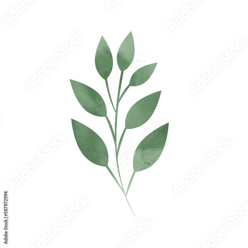 Leaves with watercolor texture. Isolated green leaf. Tropical Leaves on a transparent background