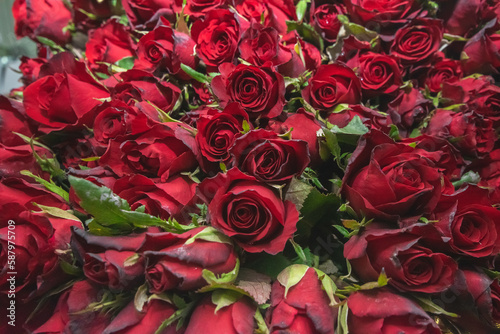 Red roses are used in funeral ceremonies.