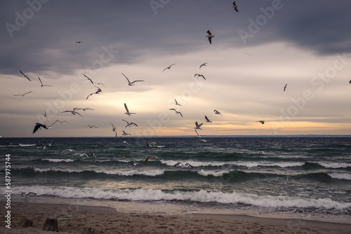 Winter cloudy seaside landscape. Birds against the background of the Baltic Sea. Photo taken in Gdynia  Poland.