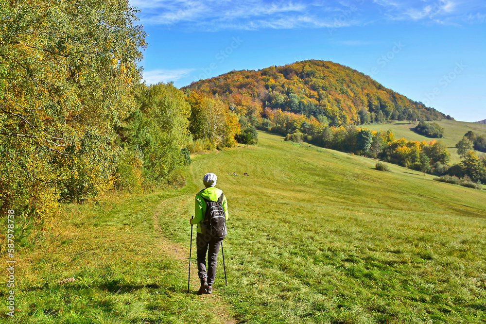 Autumn mountains landscape. Colorful foliage in the autumn forest. Backpacker woman walks on the grass at the mountains path in autumn sunny day.