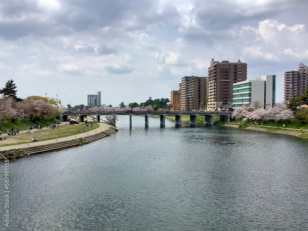 Scenery of Oto River near Okazaki Park with cherry blossoms