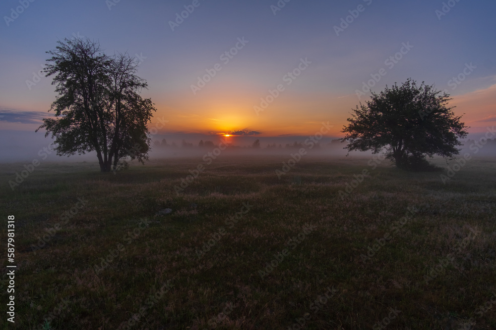 sunrise over the meadow sunrise over the meadow