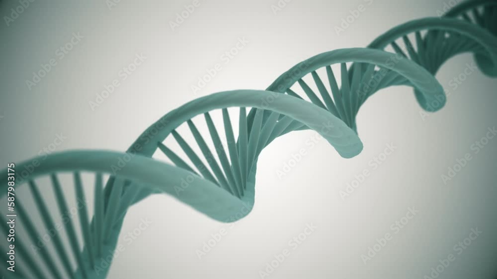 Science motion background animation with rotating DNA double helix strands. This genetics concept background is full HD and a seamless loop.